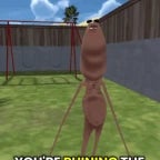 Marcus: How are you going today (copy)