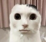 One Piece gulping swallowing sound effect