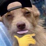 Sin sin city wasn’t made for you