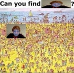 Female Scream Stock Short