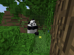 Panda - Aggressive 4 - Sound