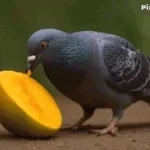 Recording 02/26/26 22:43:46