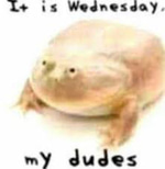 It Is Wednesday My Dudes