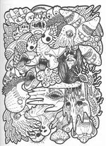 Where Light Divides the Holler