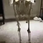 skeleton RAA AHH