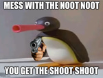 NOOT NOOT