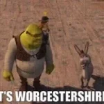 Worchestershire sauceeee