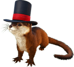 Szia bátyus, helyzet?