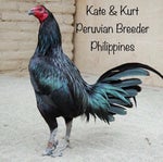 And his name is John Cena sound effect