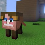 mine craft villager