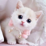 kepala bapak kau - Sound