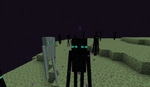 Enderman Teleport 2