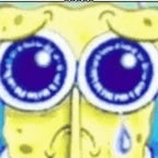 among us do i like the sus