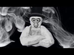 mr beast