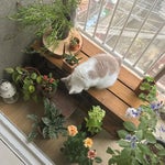 Oh my god sound effect female