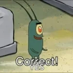 Plankton-Correct!
