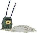 Plankton Report