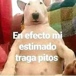 chatarra tu abuela - Sound