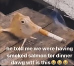 (Dude what are you doing)