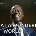 what a wonderful world