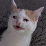 what if instead of being called mbappe - Sound