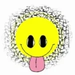 Dozer Last man standing