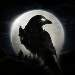 night crows you are under attack