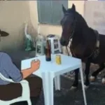 its not always about the UwU