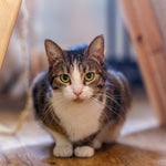 resttpowered #vyhodnotenie