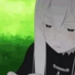 Echidna noise ReZero