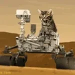 My battery's getting low - Sound