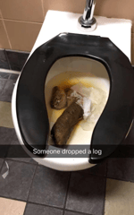 The Bonfire Behind The Slaughter