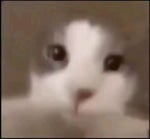 aughhh tiktok meme sound (getmp3 - Sound