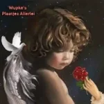 leszállt egy angyal és így szólt