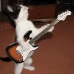 fall out of line(tiktok)