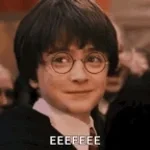 Harry Potter Indian Theme Version (copy)