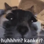 nou waarom kanker kind