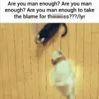 Make It Jump (bass boosted)