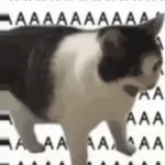 Give me your money meme