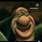 the wise worm (copy)