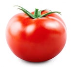 wednesday but skibidi bop bop bop bop yes yes yes