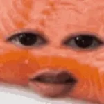 salmon