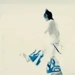 fall from the sky BASS