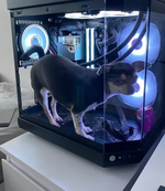 bucket spam V10 public