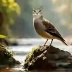 pigman rap but best part