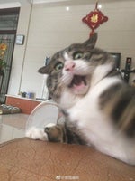 104 Dagen Zomervakantie