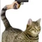 hi my name's chip - Sound