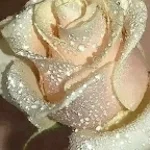 Recording 10/19/25 20:08:01 (copy)