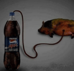 Đâu Còn Đây (TD Remix) Nal x Lee Ken Mênh Mông Không Còn Em Anh