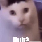 Huh? (Cat Meme)